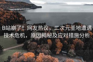 B站崩了！網(wǎng)友熱議，二次元圣地遭遇技術(shù)危機，原因揭秘及應對措施分析