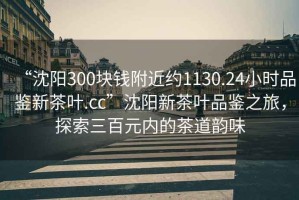 “沈陽(yáng)300塊錢(qián)附近約1130.24小時(shí)品鑒新茶葉.cc”沈陽(yáng)新茶葉品鑒之旅，探索三百元內的茶道韻味
