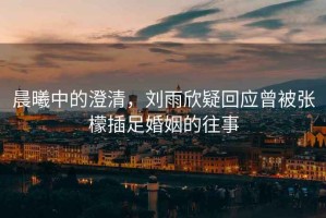 晨曦中的澄清，劉雨欣疑回應曾被張檬插足婚姻的往事