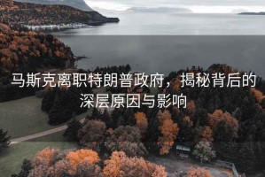 馬斯克離職特朗普政府，揭秘背后的深層原因與影響