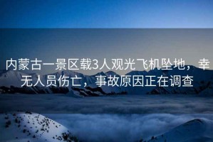 內蒙古一景區載3人觀(guān)光飛機墜地，幸無(wú)人員傷亡，事故原因正在調查
