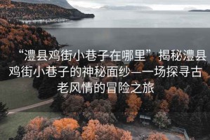 “澧縣雞街小巷子在哪里”揭秘澧縣雞街小巷子的神秘面紗—一場(chǎng)探尋古老風(fēng)情的冒險之旅