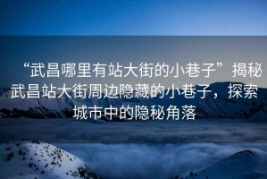 “武昌哪里有站大街的小巷子”揭秘武昌站大街周邊隱藏的小巷子，探索城市中的隱秘角落