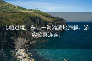 韋帕過(guò)境廣東，一海灘遍地海鮮，游客驚喜連連！