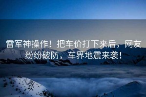 雷軍神操作！把車(chē)價(jià)打下來(lái)后，網(wǎng)友紛紛破防，車(chē)界地震來(lái)襲！