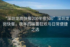 “深圳龍崗快餐200半夜500”深圳龍崗快餐，夜半的味蕾狂歡與日常便捷之選