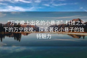 “萬(wàn)寧晚上出名的小巷子”科技之光下的萬(wàn)寧夜晚，探索著(zhù)名小巷子的獨特魅力