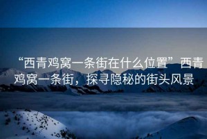 “西青雞窩一條街在什么位置”西青雞窩一條街，探尋隱秘的街頭風(fēng)景