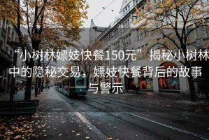 “小樹(shù)林嫖妓快餐150元”揭秘小樹(shù)林中的隱秘交易，嫖妓快餐背后的故事與警示