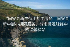 “固安縣新中街小胡同服務(wù)”固安縣新中街小胡同服務(wù)，城市微觀(guān)脈絡(luò )中的溫馨驛站