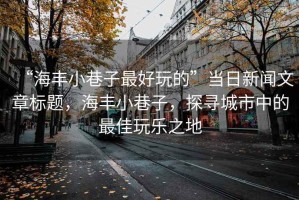 “海豐小巷子最好玩的”當日新聞文章標題，海豐小巷子，探尋城市中的最佳玩樂(lè )之地