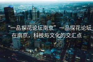 “一品探花論壇南京”一品探花論壇在南京，科技與文化的交匯點(diǎn)