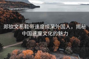 鄭欽文系鞋帶速度驚呆外國人，揭秘中國速度文化的魅力