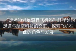 “蚌埠領(lǐng)尚足道有飛機嗎”蚌埠領(lǐng)尚足道與航空科技的交匯，探索飛機在此的角色與發(fā)展