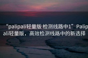 “palipali輕量版 檢測線(xiàn)路中1”P(pán)alipali輕量版，高效檢測線(xiàn)路中的新選擇