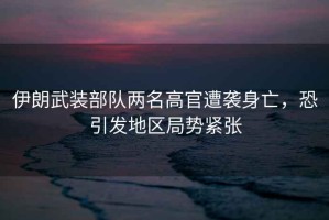 伊朗武裝部隊兩名高官遭襲身亡，恐引發(fā)地區局勢緊張