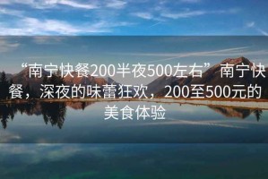 “南寧快餐200半夜500左右”南寧快餐，深夜的味蕾狂歡，200至500元的美食體驗