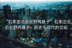 “石家莊北后街野雞巷子”石家莊北后街野雞巷子，歷史與現代的交織