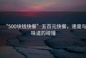 “500塊錢(qián)快餐”五百元快餐，速度與味道的碰撞