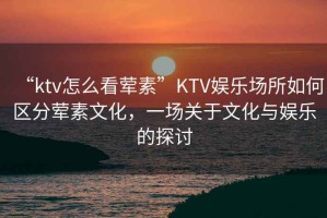 “ktv怎么看葷素”KTV娛樂(lè )場(chǎng)所如何區分葷素文化，一場(chǎng)關(guān)于文化與娛樂(lè )的探討
