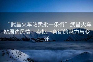 “武昌火車(chē)站賣(mài)批一條街”武昌火車(chē)站周邊風(fēng)情，賣(mài)批一條街的魅力與變遷