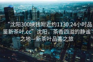 “沈陽(yáng)300塊錢(qián)附近約1130.24小時(shí)品鑒新茶葉.cc”沈陽(yáng)，茶香四溢的靜謐之地—新茶葉品鑒之旅