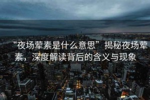 “夜場(chǎng)葷素是什么意思”揭秘夜場(chǎng)葷素，深度解讀背后的含義與現象