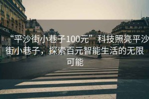 “平沙街小巷子100元”科技照亮平沙街小巷子，探索百元智能生活的無(wú)限可能