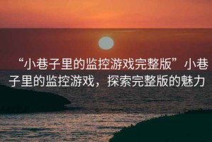 “小巷子里的監控游戲完整版”小巷子里的監控游戲，探索完整版的魅力