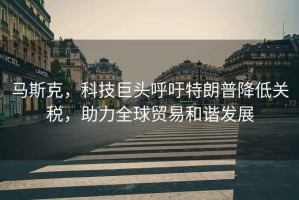 馬斯克，科技巨頭呼吁特朗普降低關(guān)稅，助力全球貿易和諧發(fā)展