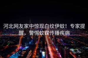 河北網(wǎng)友家中驚現白紋伊蚊！專(zhuān)家提醒，警惕蚊媒傳播疾病
