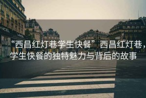 “西昌紅燈巷學(xué)生快餐”西昌紅燈巷，學(xué)生快餐的獨特魅力與背后的故事