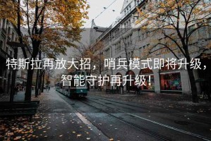 特斯拉再放大招，哨兵模式即將升級，智能守護再升級！
