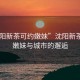 “沈陽(yáng)新茶可約嫩妹”沈陽(yáng)新茶之韻，嫩妹與城市的邂逅