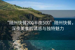 “隨州快餐200半夜500”隨州快餐，深夜美食的誘惑與獨特魅力