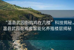 “溫縣武園街的雞在幾樓”科技揭秘，溫縣武園街雞舍智能化養殖樓層揭秘