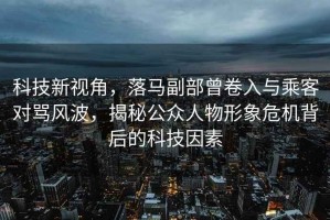 科技新視角，落馬副部曾卷入與乘客對罵風(fēng)波，揭秘公眾人物形象危機背后的科技因素