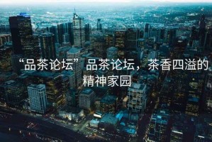 “品茶論壇”品茶論壇，茶香四溢的精神家園