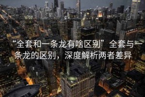 “全套和一條龍有啥區別”全套與一條龍的區別，深度解析兩者差異