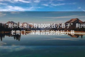 “荊州老南門(mén)有100塊錢(qián)小巷子”荊州老南門(mén)，深藏百元的神秘小巷