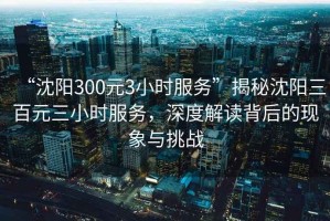 “沈陽(yáng)300元3小時(shí)服務(wù)”揭秘沈陽(yáng)三百元三小時(shí)服務(wù)，深度解讀背后的現象與挑戰