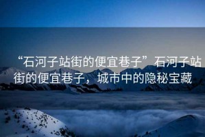 “石河子站街的便宜巷子”石河子站街的便宜巷子，城市中的隱秘寶藏