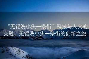“無(wú)錫洗小頭一條街”科技與人文的交融，無(wú)錫洗小頭一條街的創(chuàng  )新之旅