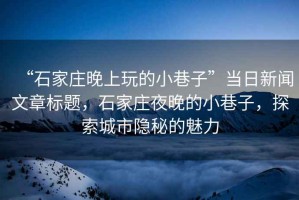 “石家莊晚上玩的小巷子”當日新聞文章標題，石家莊夜晚的小巷子，探索城市隱秘的魅力