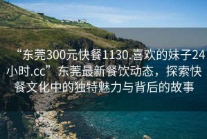 “東莞300元快餐1130.喜歡的妹子24小時(shí).cc”東莞最新餐飲動(dòng)態(tài)，探索快餐文化中的獨特魅力與背后的故事