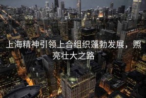 上海精神引領(lǐng)上合組織蓬勃發(fā)展，照亮壯大之路