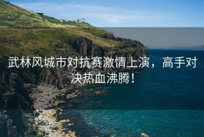 武林風(fēng)城市對抗賽激情上演，高手對決熱血沸騰！