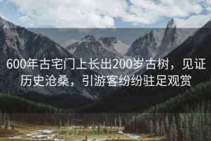 600年古宅門(mén)上長(cháng)出200歲古樹(shù)，見(jiàn)證歷史滄桑，引游客紛紛駐足觀(guān)賞
