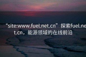 “site:www.fuel.net.cn”探索fuel.net.cn，能源領(lǐng)域的在線(xiàn)前沿