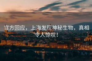 官方回應，上海發(fā)現神秘生物，真相令人驚嘆！